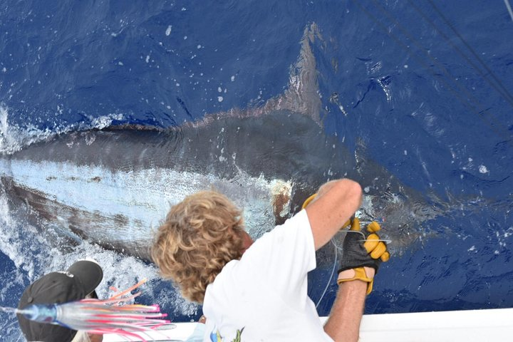 6 Hour Fishing Charter - Photo 1 of 6